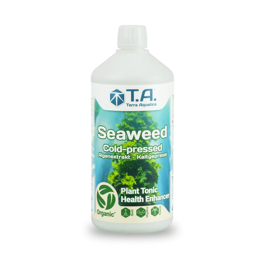 წყალმცენარე "Seaweed"